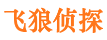 乌什侦探公司